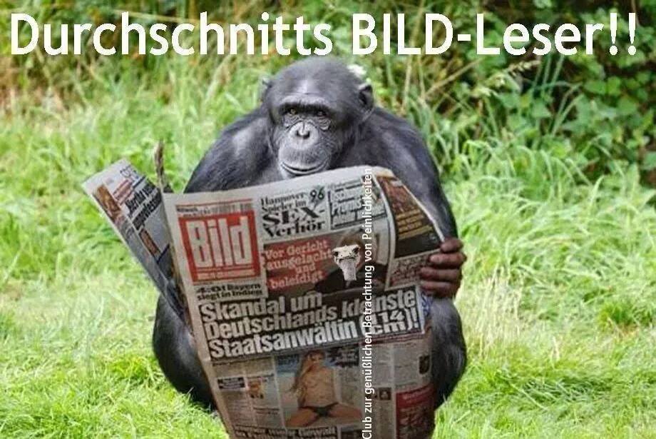 fdp_bildleser.jpg