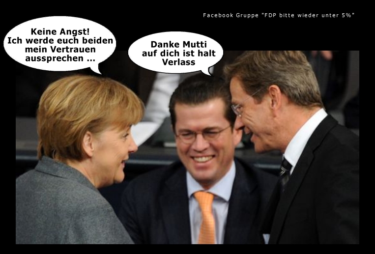 fdp_vertauen_aussprechen.jpg