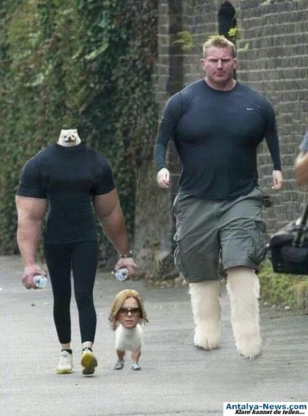wtf_6.jpg